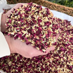 1 litro di coriandoli, coriandoli bio, coriandoli per matrimonio con fiori secchi, coriandoli biodegradabili, sacchetti per coriandoli, coriandoli naturali, coriandoli per matrimonio sfusi