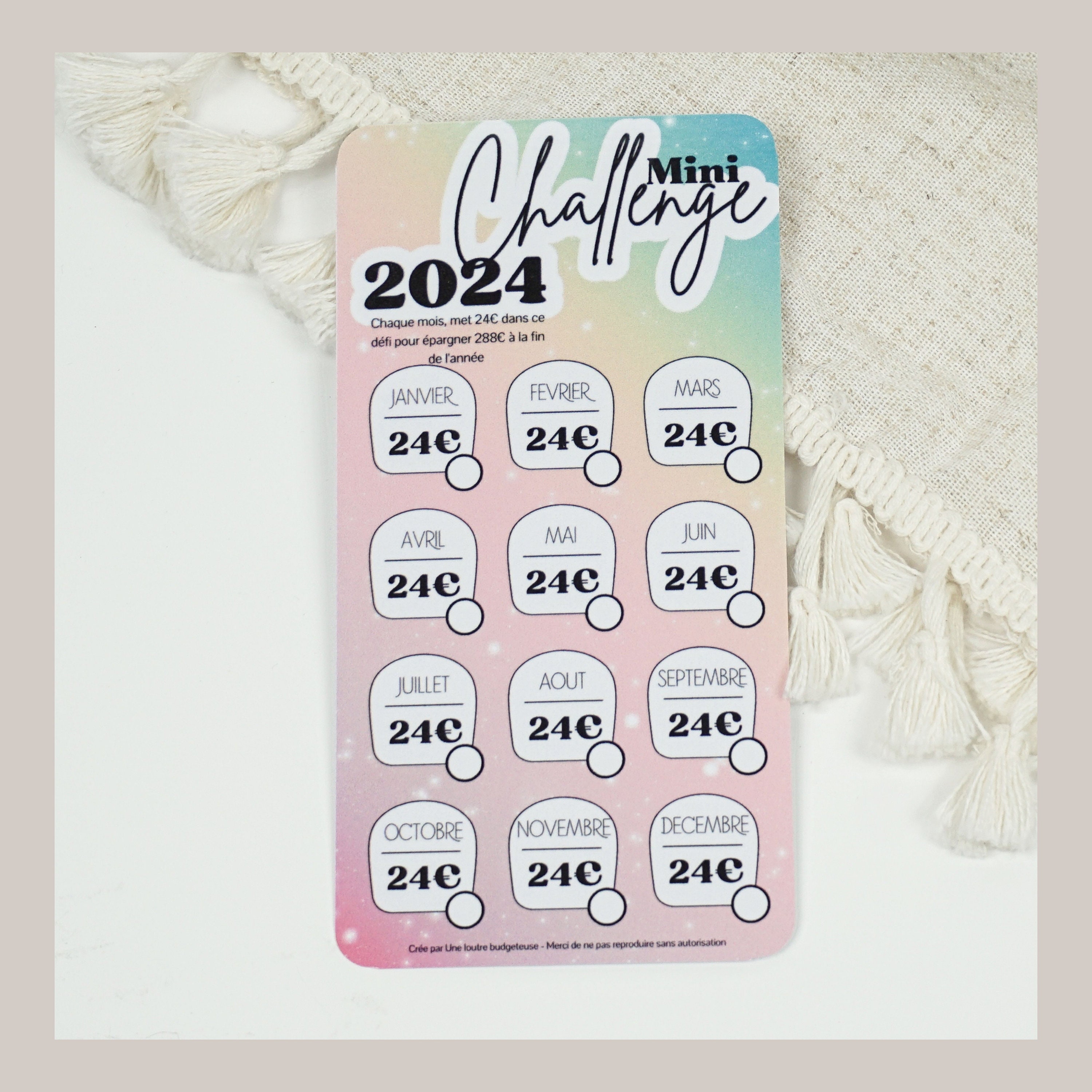 Mini Challenge A6 2024 (budget envelope challenge) // Savings 276 euros -  UNICORNE theme