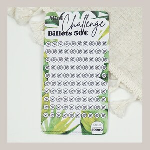 Mini Challenge A6 50 euro banknotes (budget envelope challenge) // Savings 5000 euros - MONSTERA theme