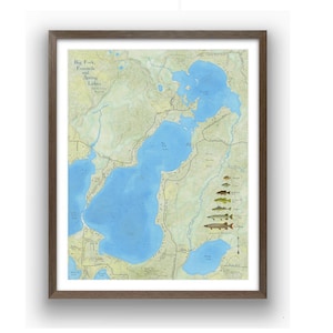 Carte des lacs Big Fork, Fourmile et Spring (qui font partie de la chaîne de lacs des trois lacs) dans le Wisconsin. Belle oeuvre d'art murale. Profondeur détaillée, poisson.