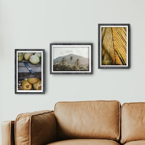 Colombia Palm Trees Coconut Poster Set | Framed Poster Modern Abstract Bundle | Travel Wall Art Gift Idea for Friends