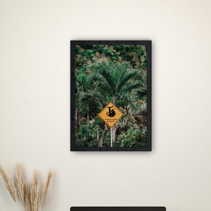 Cartello stradale di bradipo, Colombia, poster fotografico della giungla | Murale stampato | Decorazione murale del Sud America | Idea regalo per parete con tema viaggi