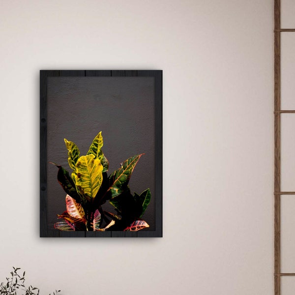 Colorful Minimalist Plants Photography Poster Wall Art