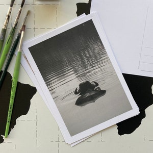 Cartolina di bufalo d'acqua Fotografia in bianco e nero 7x5" | Biglietto di auguri esotico per le vacanze dello Sri Lanka Souvenir | Natura Animale Regalo Amici Decorazione