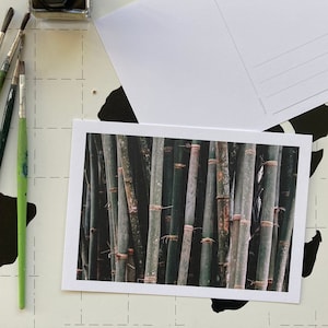 Fotografia zielonego bambusa 7x5" | Egzotyczne wakacje na Sri Lance Pamiątkowa pocztówka | Pamiątka z podróży po całym świecie Karta z pozdrowieniami Dekoracja prezentów dla przyjaciół