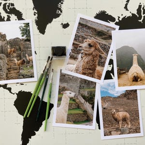 Perú llamas y alpacas con ruinas postales conjunto de 5 con fotografías coloridas | Machu Picchu, Valle Sagrado de los Incas, Cusco | Tarjetas de felicitación