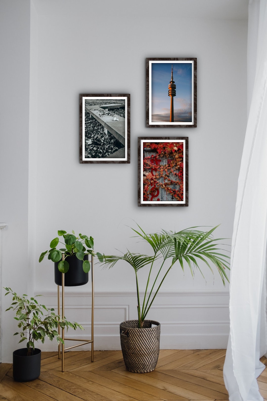 munich-autumn-foliage-photography-wall-art-set-of-3-etsy