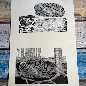 May include: A white sheet of paper featuring two black and white ink drawings. The top illustration depicts a curled-up tiger and a textured abstract form. The bottom illustration shows a tiger sleeping at the base of trees in a forest landscape.