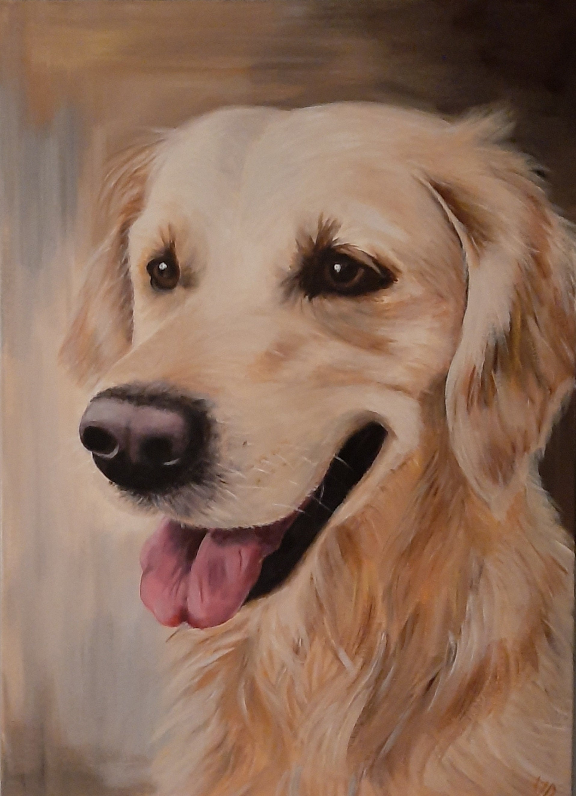 Portraits de Vos Animaux