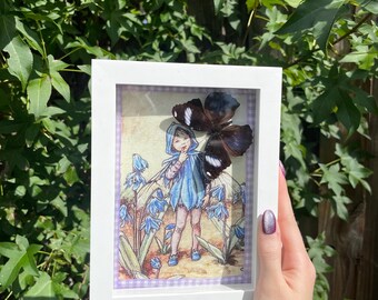 Handmade Fairy Butterfly Shadowbox Art: Real Insect Display