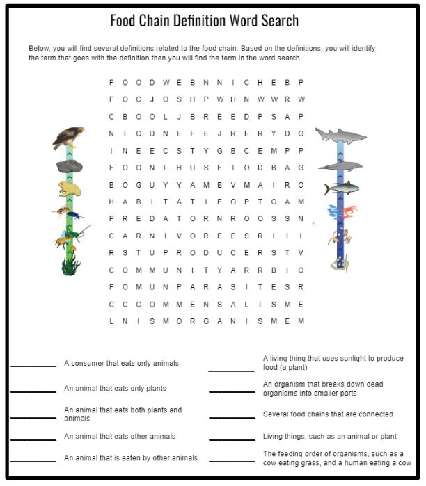 Science Worksheet: Food Chain | Learners | Elementary Science | Middle ...