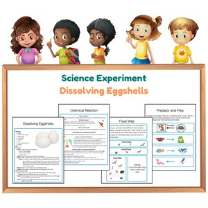 Könnte beinhalten: Ein Arbeitsblatt für ein wissenschaftliches Experiment mit Anweisungen zum Auflösen von Eierschalen. Das Arbeitsblatt enthält ein Diagramm eines Eies, ein Nahrungsnetz und eine Tabelle mit Räuber und Beute. Das Arbeitsblatt ist für Kinder konzipiert, um etwas über Wissenschaft und Natur zu lernen.