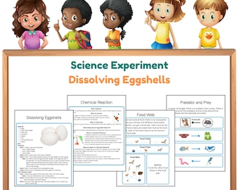 Dissolving Eggshells Science Experiment: Kids Chemical Reactions (Digital Download)