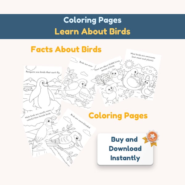 Digital Coloring Pages | Characteristics of Birds | Bird Coloring Pages | Kids Coloring Book | Printable Coloring Pages | Bird Facts