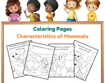 Mammal Facts Coloring Pages | Kids Learning (Digital Download)