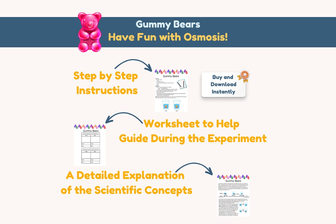 Science Experiment Gummy Bears in Liquids Osmosis for Etsy