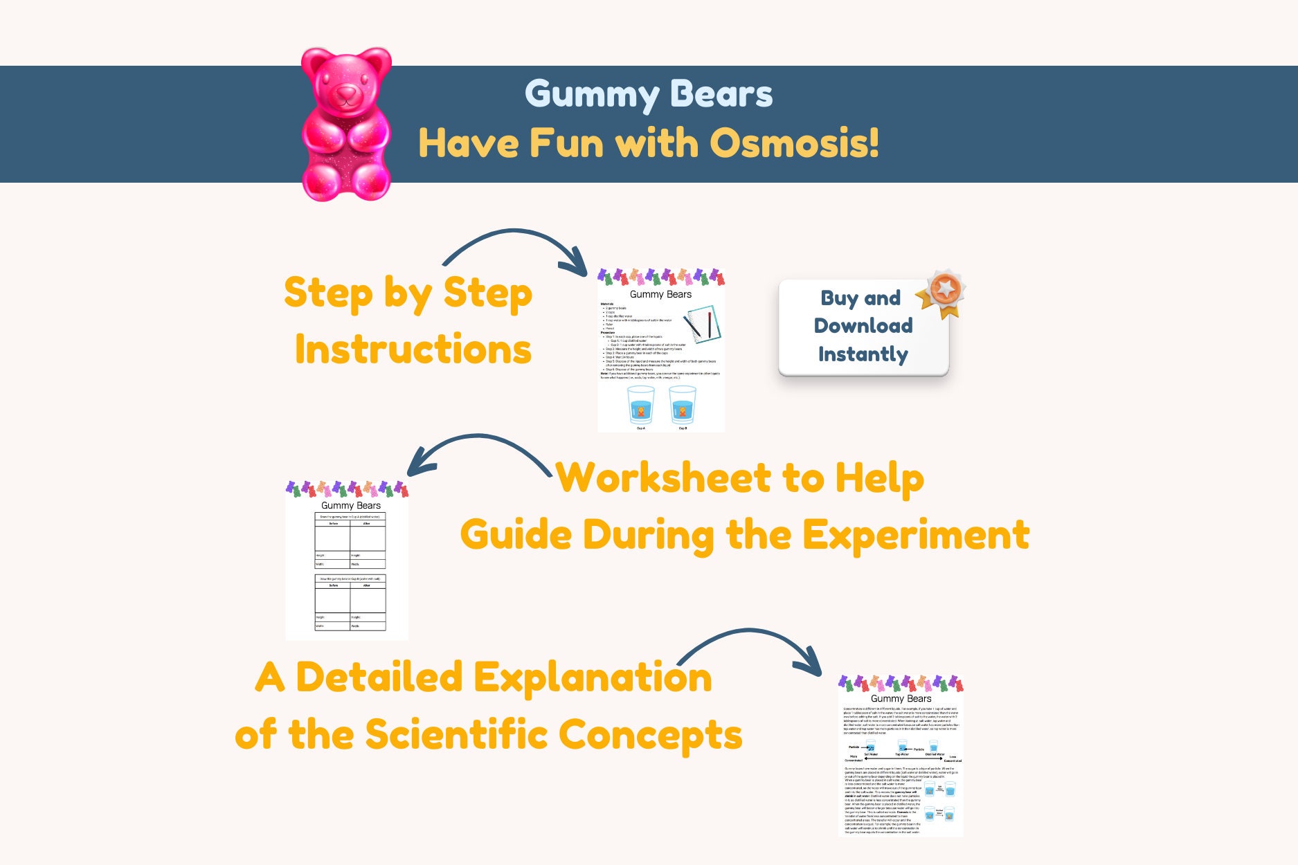 Osmosis Experiment With Gummy Bears
