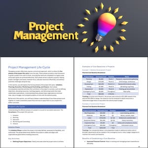 May include: A diagram explaining the five phases of a project management life cycle: initiation, planning, execution, monitoring and controlling, and closure. The diagram also includes examples of cost baselines in projects, including a website development project and a construction project.