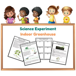 Peut inclure: Un tableau blanc avec le titre "Science Experiment Indoor Greenhouse" et trois feuilles de travail : "Parts of a Plant", "Photosynthesis and Cellular Respiration" et "Lifecycle of a Plant".