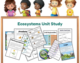 Unit Study: Ecosystems | Kindergarten Science | Science For Kids | Ecology | Middle School Science | Science Activities | Food Web