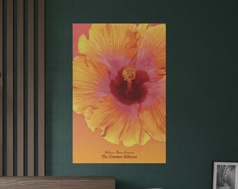 Pósteres satinados con flores de hibisco (300 g/m²) / Impresión física