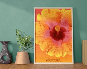 Hibiscus Flower Poster Digital Download