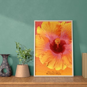 Hibiscus Flower Poster Digital Download