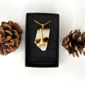 May include: A gold chain necklace with a pendant made from a brown and white shell with gold accents. The necklace is displayed in a black box with a brown pine cone on either side.