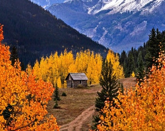 Puede incluir: Una pequeña cabaña de madera enclavada en un valle rodeado de follaje otoñal amarillo y naranja vibrante. La cabaña está situada en un fondo de montañas cubiertas de nieve.