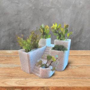 Pode incluir: Uma floreira de concreto de vários níveis e de cor clara com vários compartimentos, cada um com diferentes plantas verdes. A floreira tem um design de escada, criando uma exibição única e decorativa para pequenas plantas e suculentas.