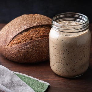 Ethiopian Teff Sourdough Starter-Gluten Free Bubbly, Active and Ready to Bake. Buy an Active Teff Starter  get a Classic GF Dehydrated Free!
