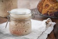 BOGO SALE!!!  Organic Aged San Francisco Sourdough Starter - Bubbly, Active and Ready to Bake.