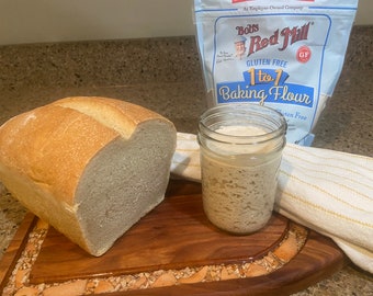 BOGO SALE!  GLUTEN Free Sourdough Starter - Bubbly, Active and Ready to Bake.  Buy an Active Starter get a Dehydrated Free!