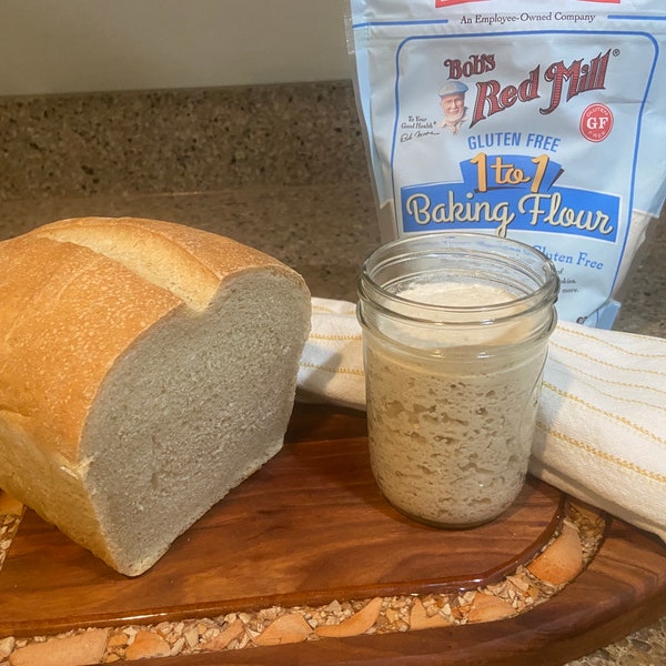 BOGO SALE!  GLUTEN Free Sourdough Starter - Bubbly, Active and Ready to Bake.  Buy an Active Starter get a Dehydrated Free!