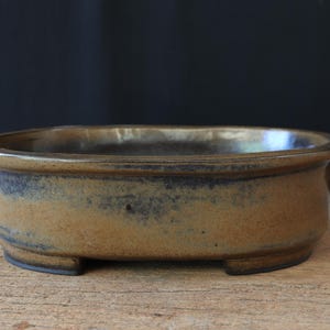 Può includere: Un vaso per bonsai in ceramica ovale con tre piedi, in tonalità marrone e nero.