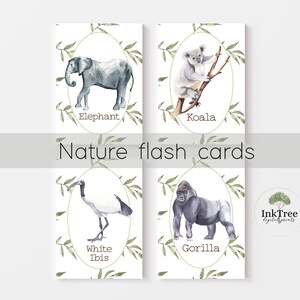 Nature Flashcard Printables, Animal Flash Card Printables, Educational Printables