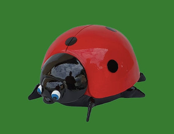 Coccinelle Bicolore - 35cm