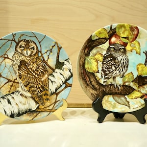 Vintage Owl Plates / Collector's Plate Series / Owl Decor / Vintage Bird Decor