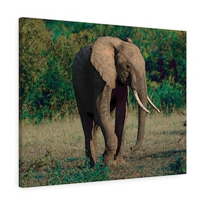 Elephant Canvas Wall Art, Elephant Painting