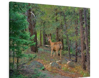 Deer in Forest Wall Art, Deer Wall Art, Deer in Forest Canvas Art, Deer in Woods Wall Art, Deer Print Art, Home Decor, Deer Lover Gift
