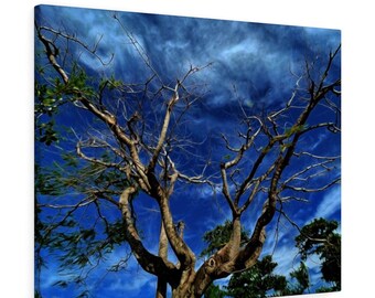 Väggkonst Livets träd, väggkonst med magiskt träd, himmel- och trädtryck, hem- och kontorsinredning, redo att hängas upp på canvas