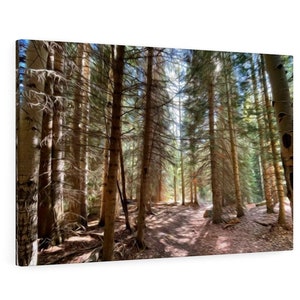 Forest Wall Art, Colorful Trees Artwork, Nature Photo