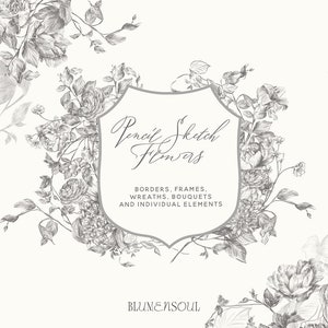 pencil sketch flowers clipart png files commercial use vintage hand drawn florals crest wreath frames botanical logo wedding invitation