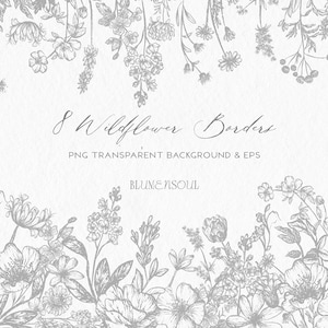 border flower clipart line art botanical clipart handdrawn wildflower PNG EPS logo design element wedding invitation delicate commercial use