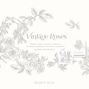 vintage rose flowers, floral clipart, line art flowers, botanical illustration, EPS vector, PNG, commercial use, wedding invitation, logo
