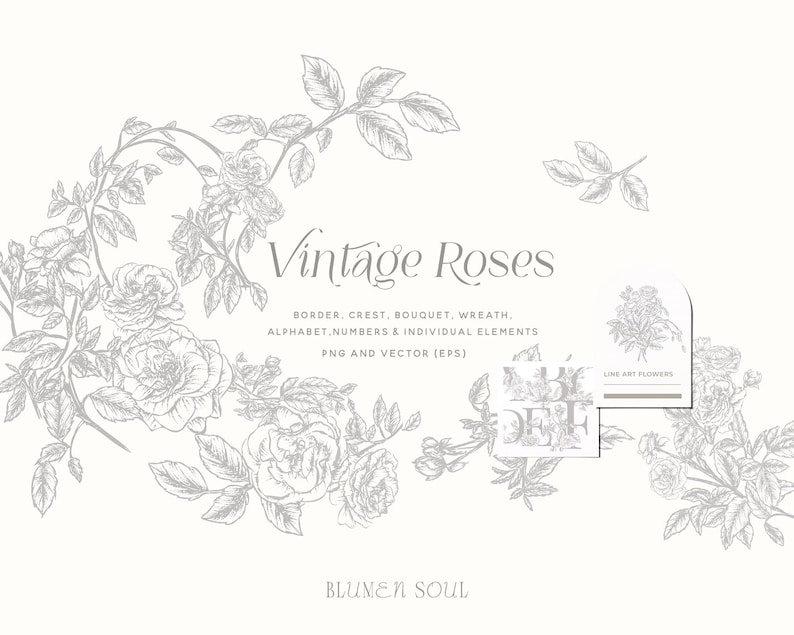 May include: A digital illustration of vintage roses in a gray color scheme. The image includes a border, crest, bouquet, wreath, alphabet, numbers, and individual elements. The text "Vintage Roses" is displayed in the center of the image. The text "BORDER, CREST, BOUQUET, WREATH, ALPHABET, NUMBERS & INDIVIDUAL ELEMENTS PNG AND VECTOR (EPS)" is displayed below the title. The text "BLUMEN SOUL" is displayed at the bottom of the image. The text "LIVE ART FLOWERS" is displayed in a small rectangle in the upper right corner of the image.