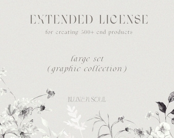 Extended license for graphic collection, Blumen Soul