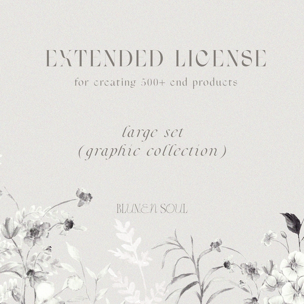 Extended license for graphic collection, Blumen Soul