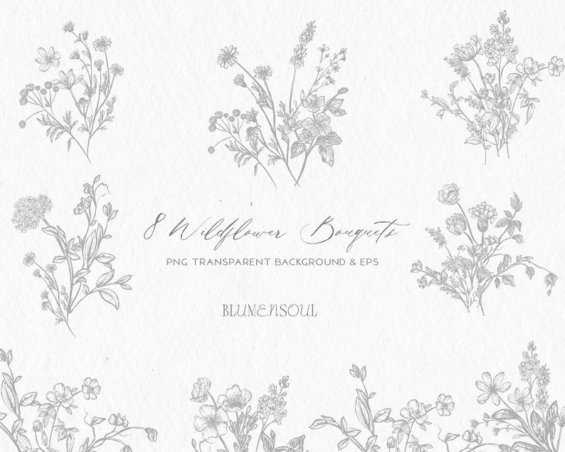May include: Eight black and white line drawings of wildflower bouquets. The bouquets are arranged in a grid pattern on a white background. The text "8 Wildflower Bouquets" and "PNG Transparent Background & EPS" is at the center of the image. The text "BLUMENSOUL" is below the text.