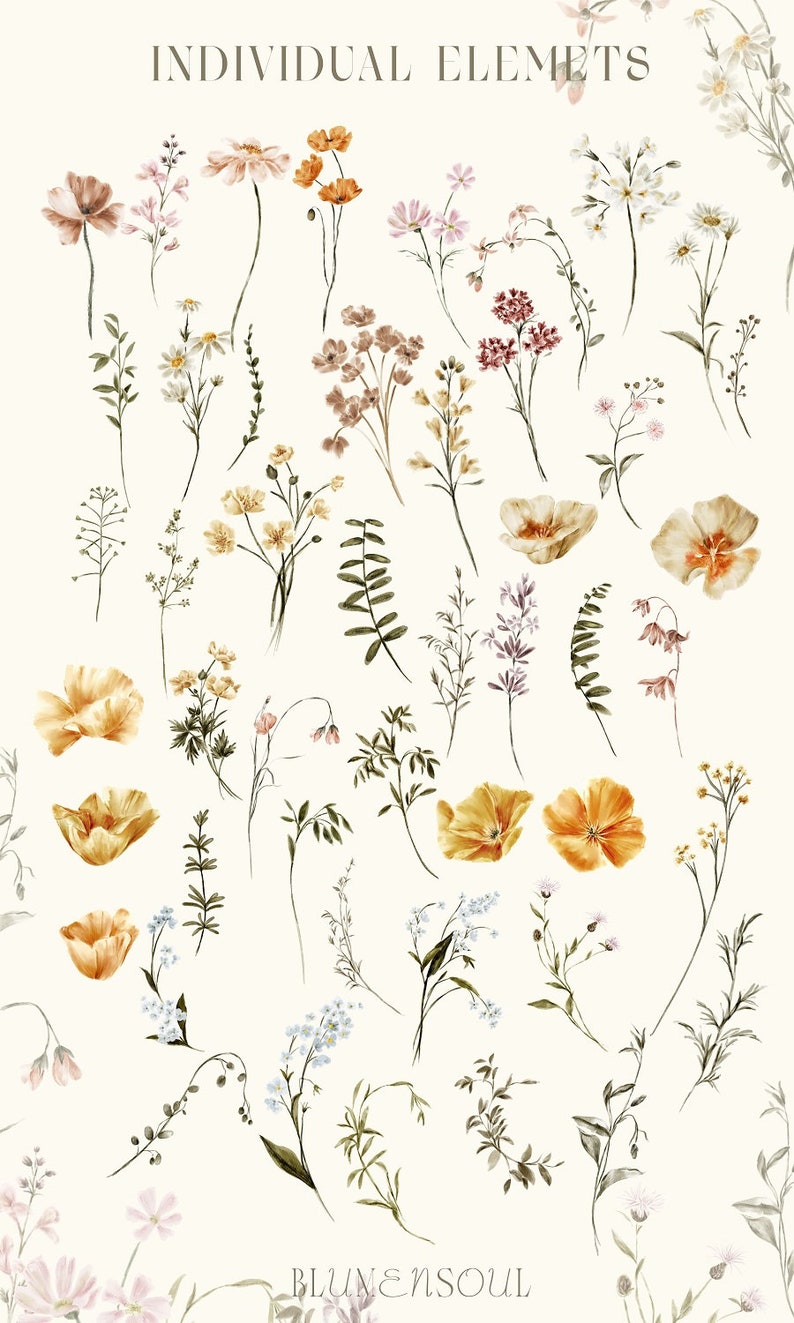 Wildflower Clipart Floral Clipart Wildflower PNG Meadow - Etsy